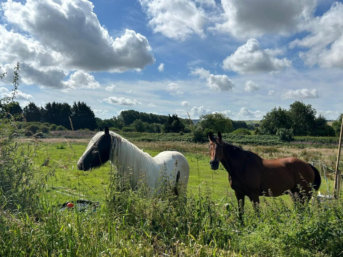 ホテル Roe Deer Meadow At Carr House Farm スカーバラ エクステリア 写真